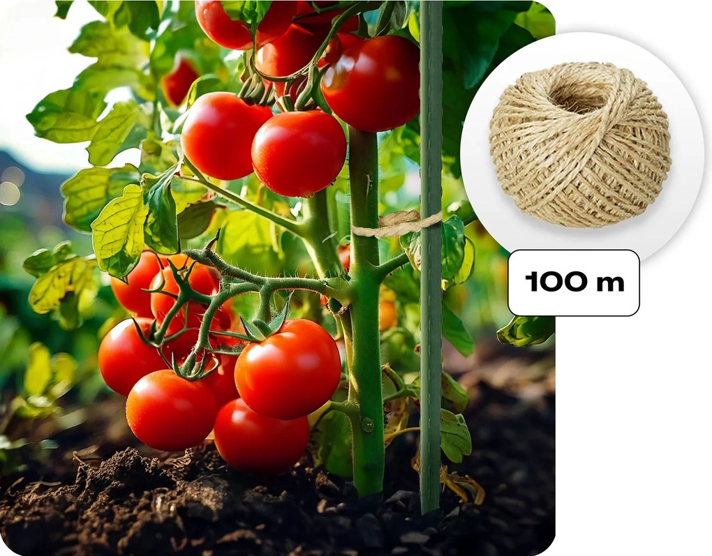 Fóliový tunel, záhradný skleník 3 x 2 m (6m2)  ružový Plonos 4978-B