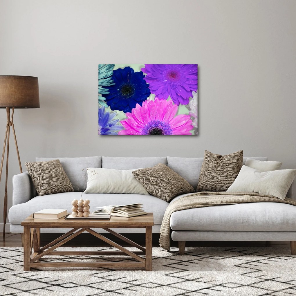 Obraz farebných kvetín (70x50 cm)