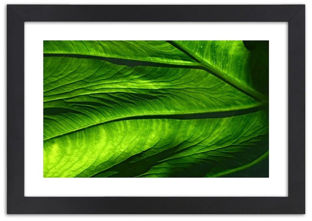 Gario Plagát Štruktúra listov Farba rámu: Bez rámu, Rozmery: 45 x 30 cm