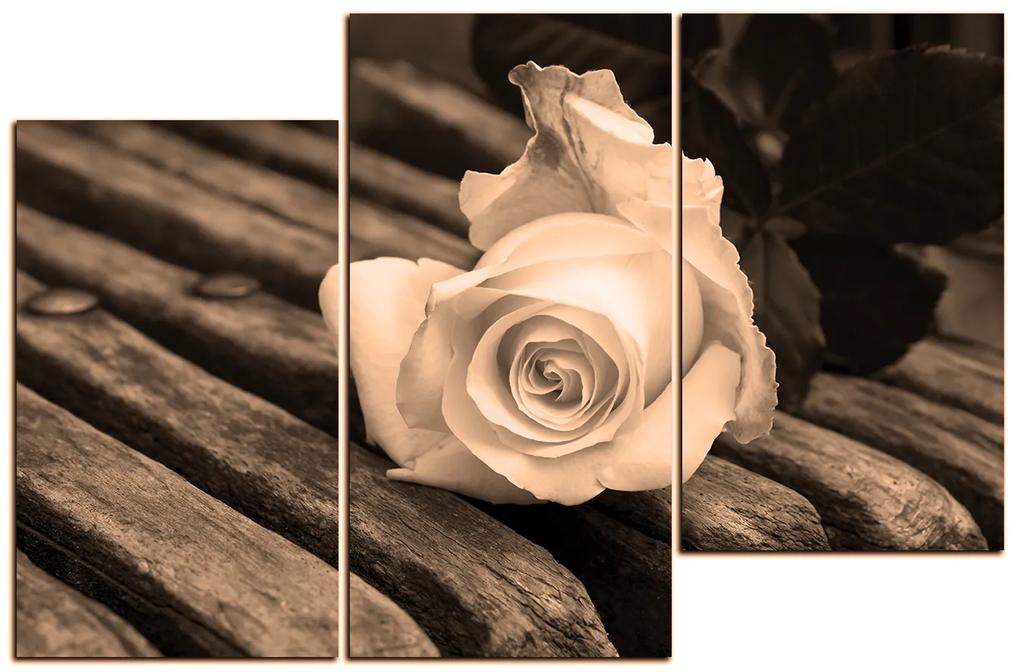 Obraz na plátne - Biela ruža na lavici 1224FD (90x60 cm)