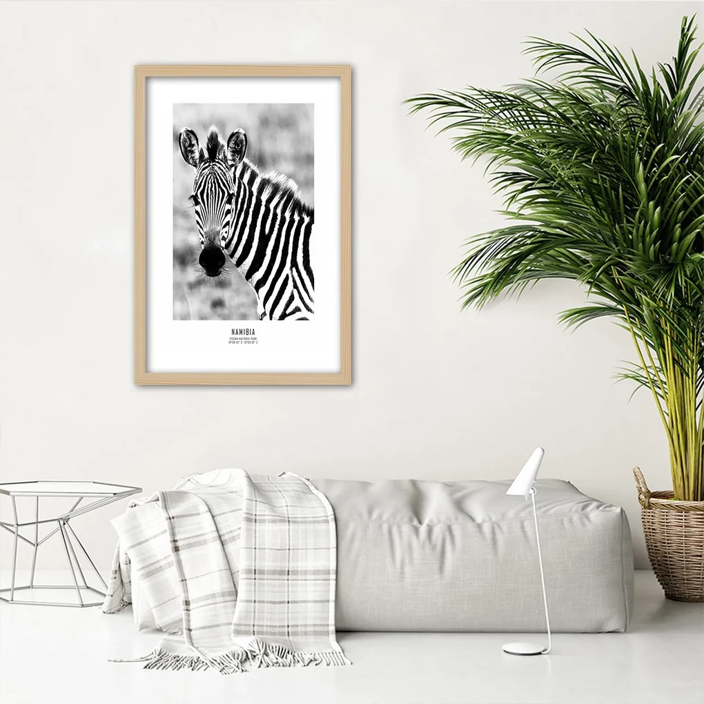 Gario Plagát Zvedavá zebra Farba rámu: Bez rámu, Rozmery: 20 x 30 cm