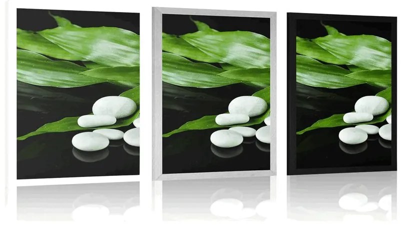 Plagát prírodná terapia - 60x90 silver
