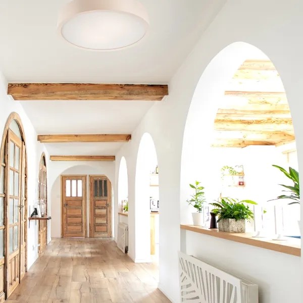 Stropné svietidlo 2xE27/60W/230V