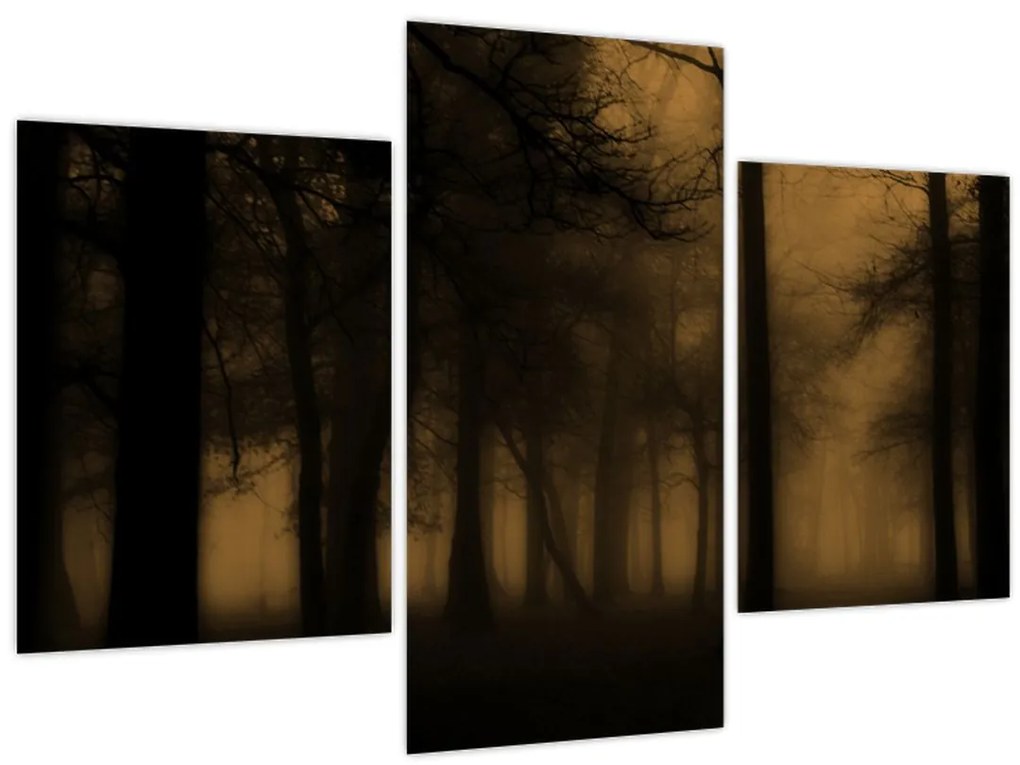 Obraz - Temný les (90x60 cm)