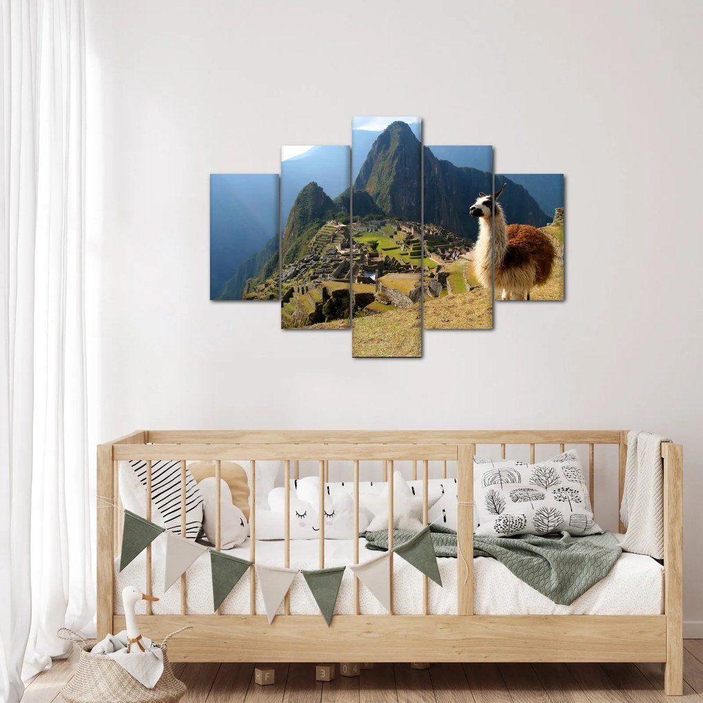 Obrázok - Lama a Machu Picchu (150x105 cm)