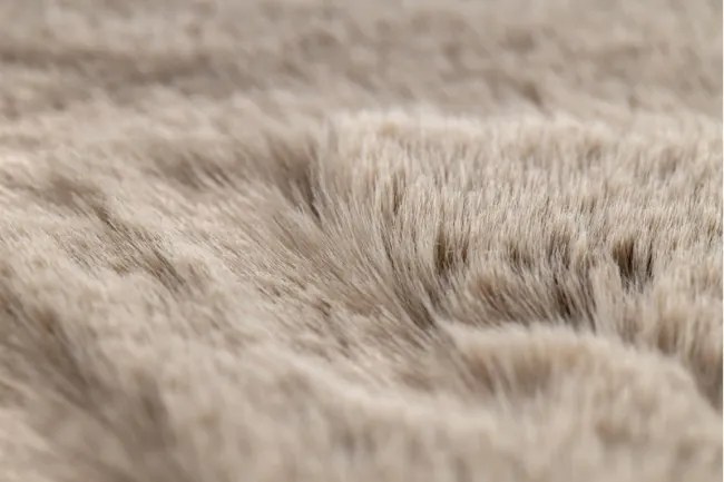 Koberec BUNNY KRUH taupe béž
