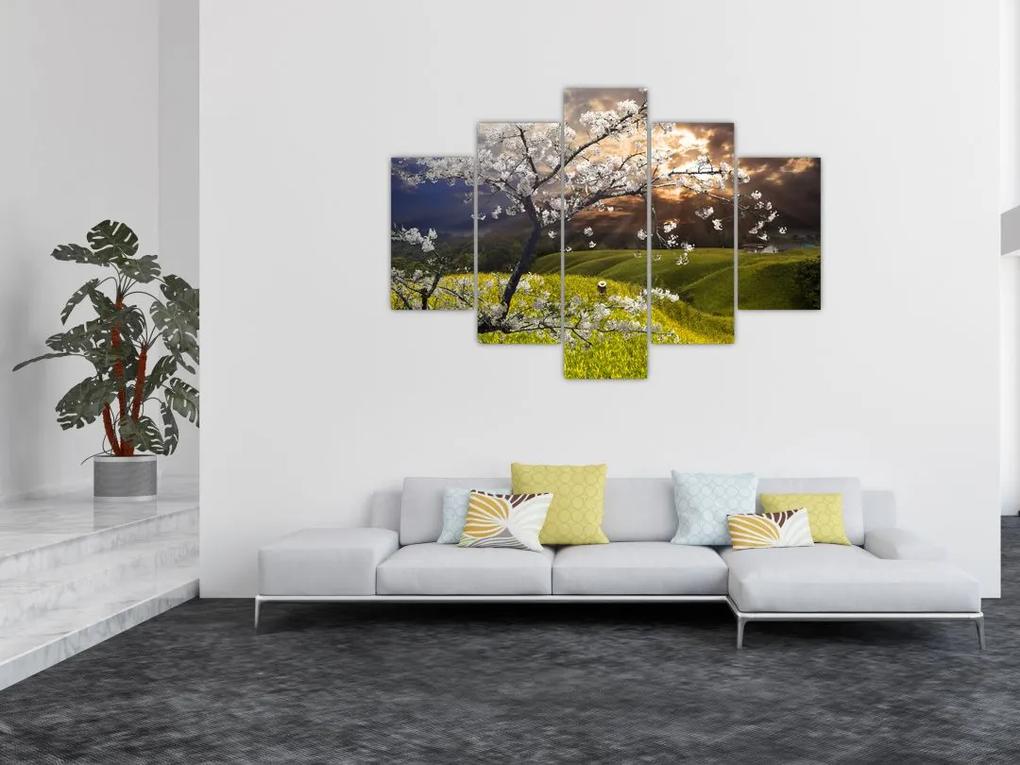 Obraz - Rozkvitnutý strom v krajine (150x105 cm)