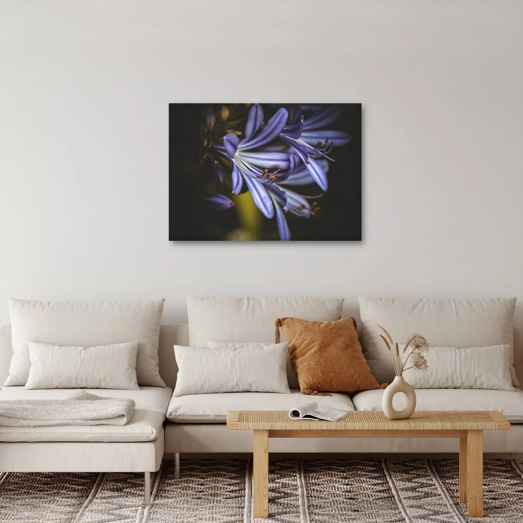 Obraz - Lila (70x50 cm)