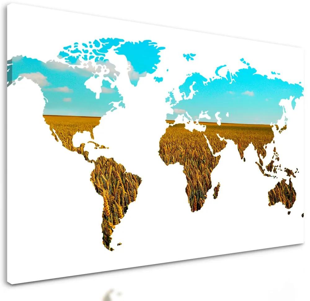 Obraz mapa sveta ako pšeničné pole