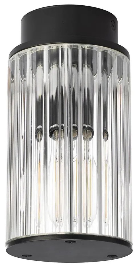 Argon 8773 - Vonkajšie stropné svietidlo NORFOLK 1xE27/15W/230V IP44 čierna