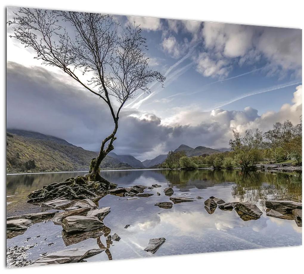 Sklenený obraz rieky za stromom (70x50 cm)