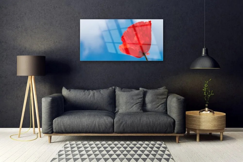 Obraz na skle Tulipán 125x50 cm