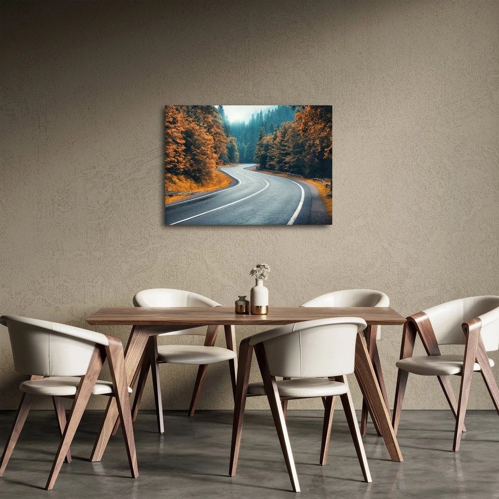 Obraz - Kľukatá cesta (70x50 cm)