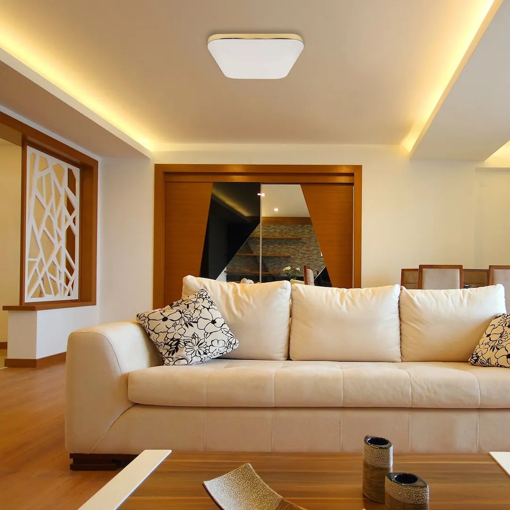 Stropné LED svietidlo Nemo, 1x LED 17w, 4000k, g
