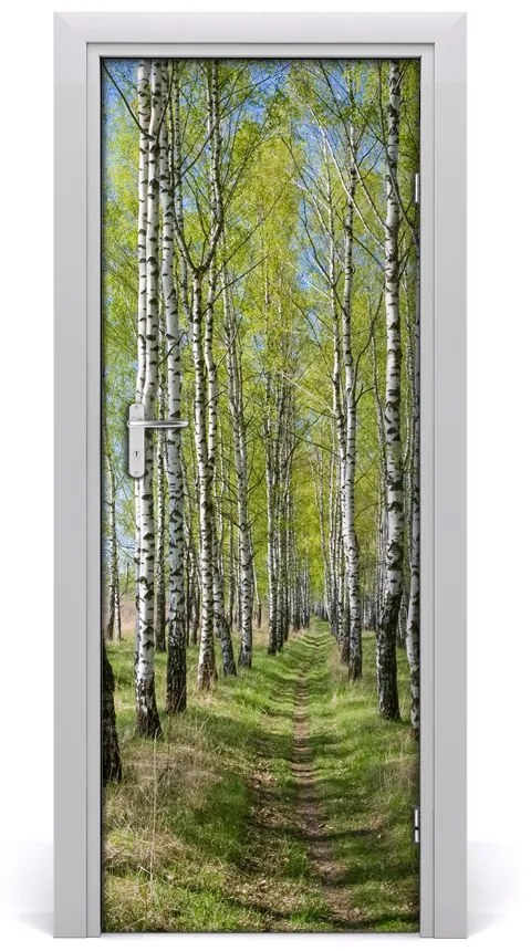 Fototapeta na dvere samolepiace Břízová les 85x205 cm