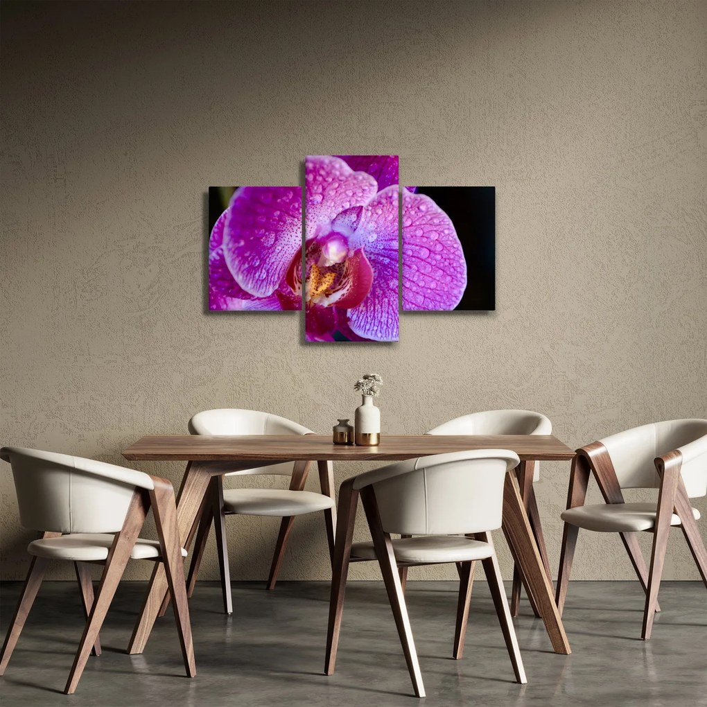 Detailný obraz kvetu orchidey (90x60 cm)