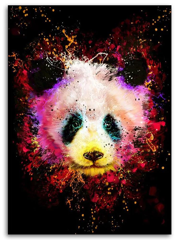 Gario Obraz na plátne Dúhová panda - Dmitry Belov Rozmery: 40 x 60 cm