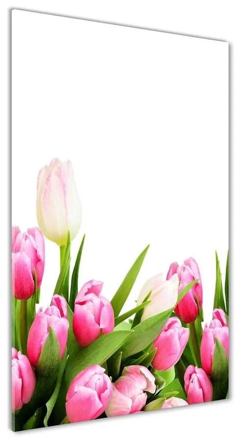 Foto obraz akrylové sklo Ružové tulipány pl-oa-70x140-f-138798865