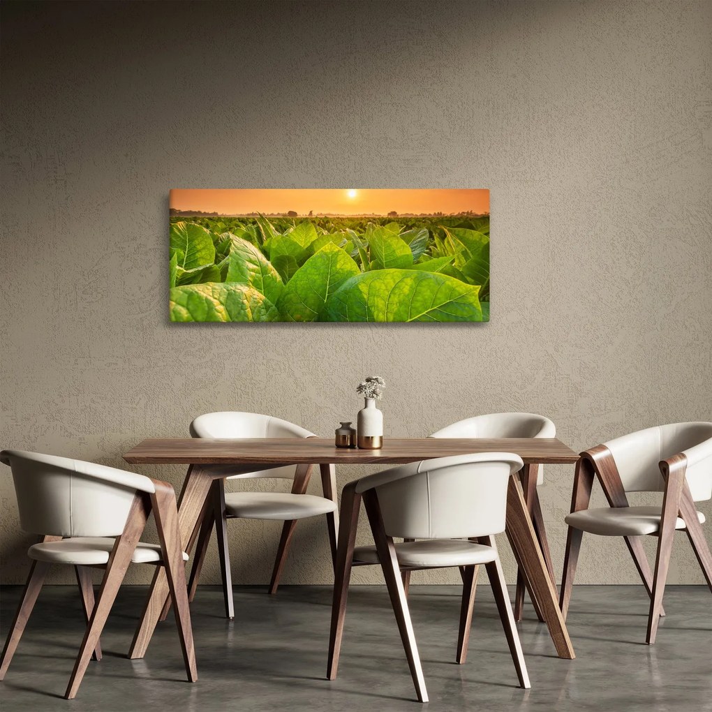 Obraz - Pole (120x50 cm)