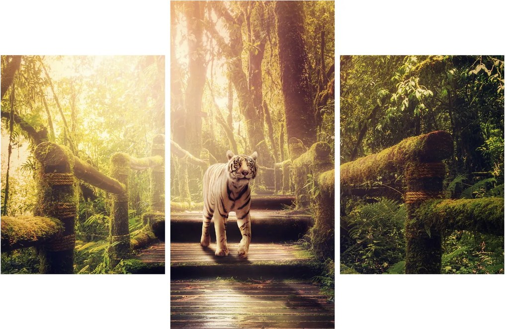 Obraz tigra v džungli (90x60 cm)