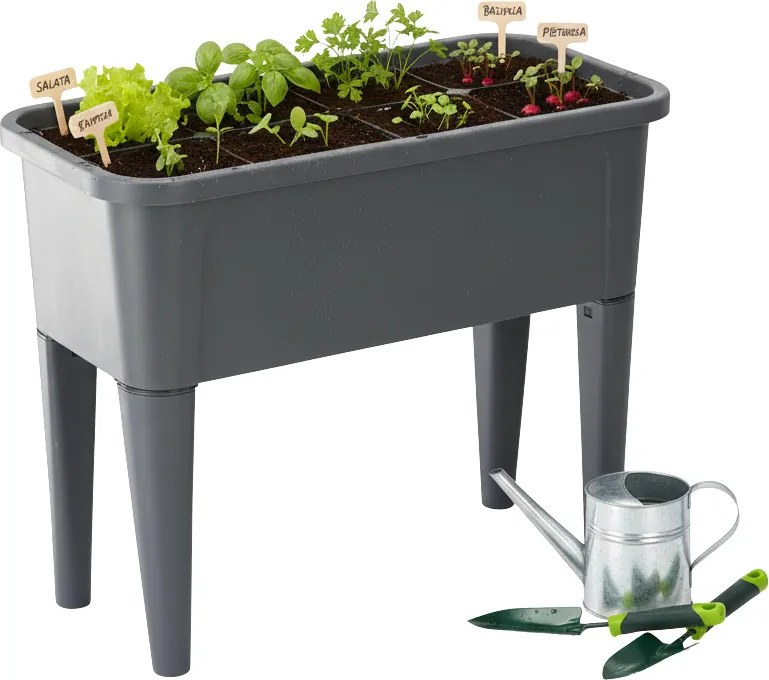 Sadbovač Nidus 76 cm antracit