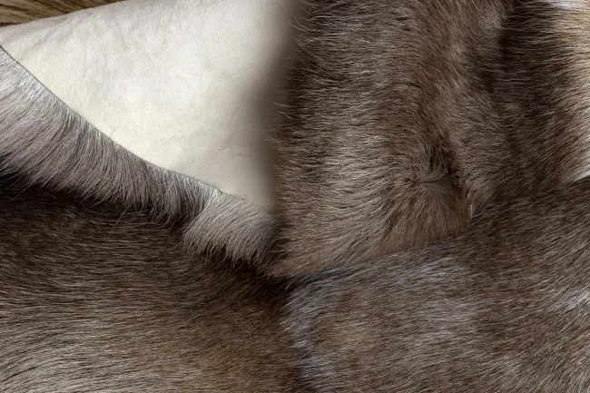 Koberec RENIFER POK009 PREMIUM hnedý / sivý