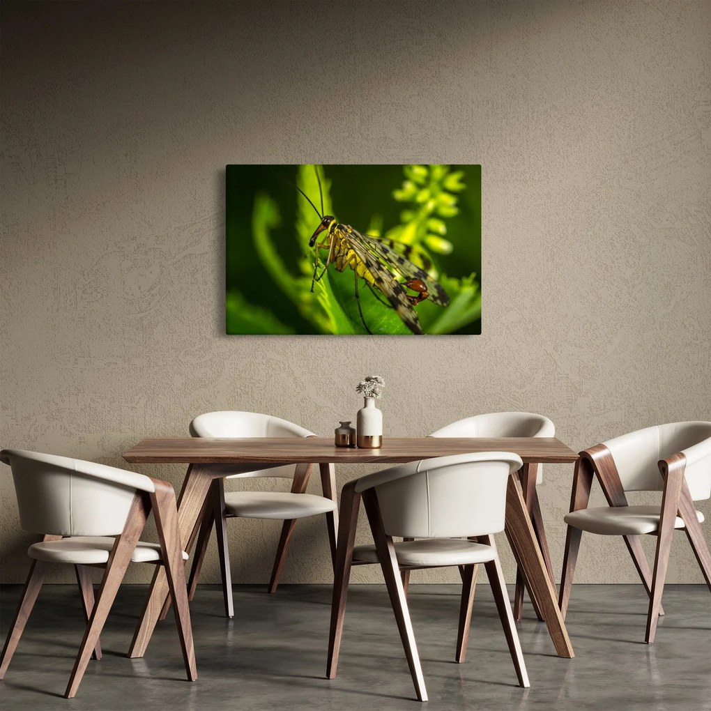 Obraz hmyzu (90x60 cm)