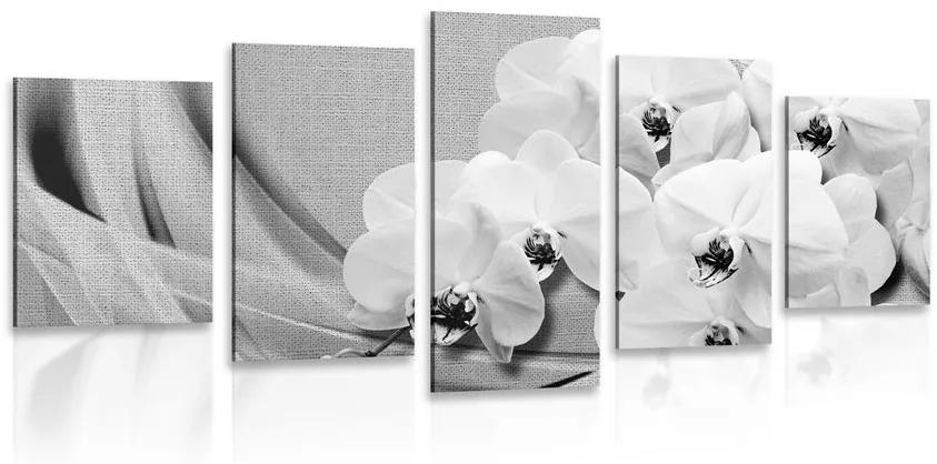5-dielny obraz orchidea na plátne v čiernobielom prevedení Varianta: 100x50