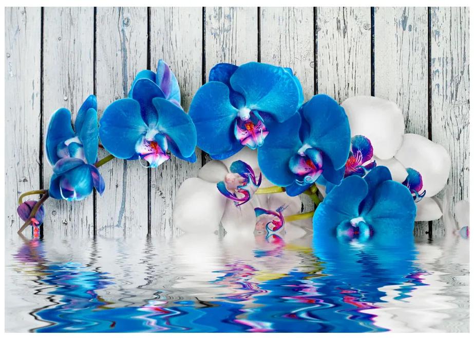 Artgeist Fototapeta - Cobaltic orchid Veľkosť: 196x140, Verzia: Samolepiaca