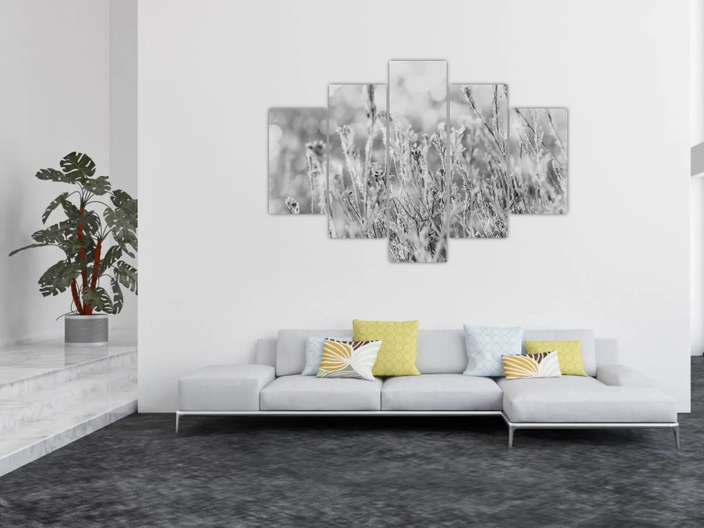 Obraz - Chladná zima (150x105 cm)