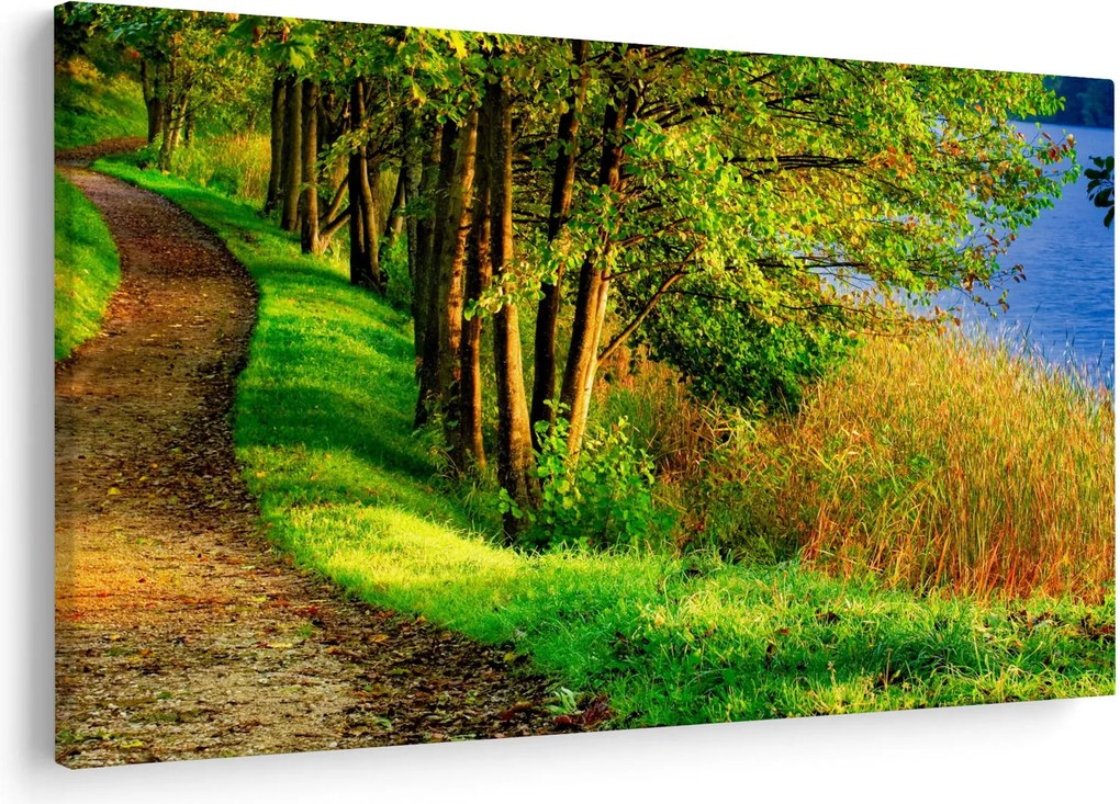 Obraz chodníky pozdĺž vody (90x60 cm)