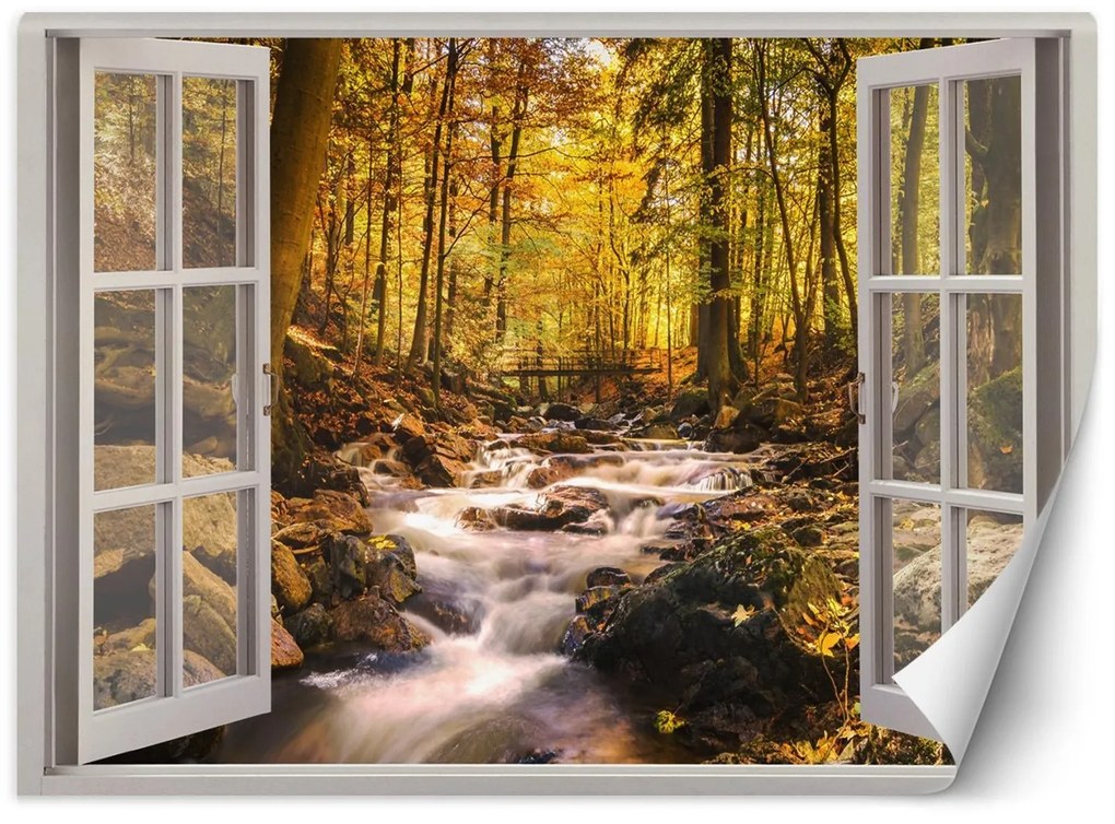 Gario Fototapeta Okno - lesný prúd Materiál: Vliesová, Rozmery: 280 x 200 cm