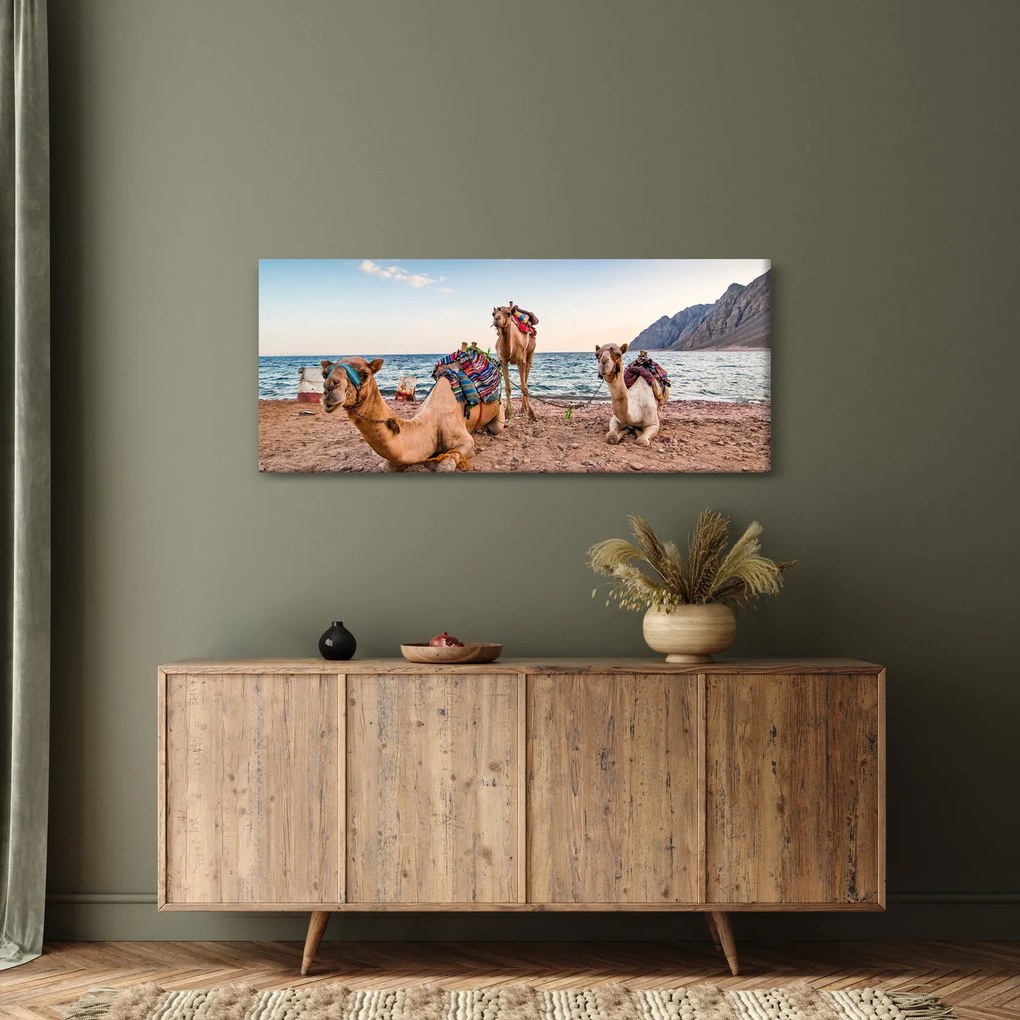 Obraz tiav (120x50 cm)