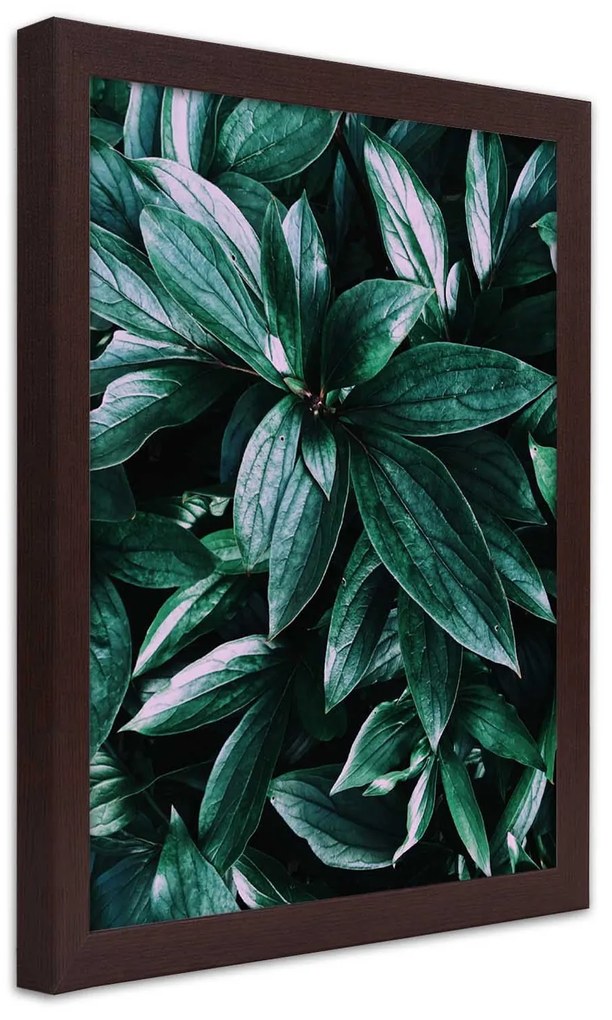 Gario Plagát Fascinujúce listy Farba rámu: Bez rámu, Rozmery: 30 x 45 cm
