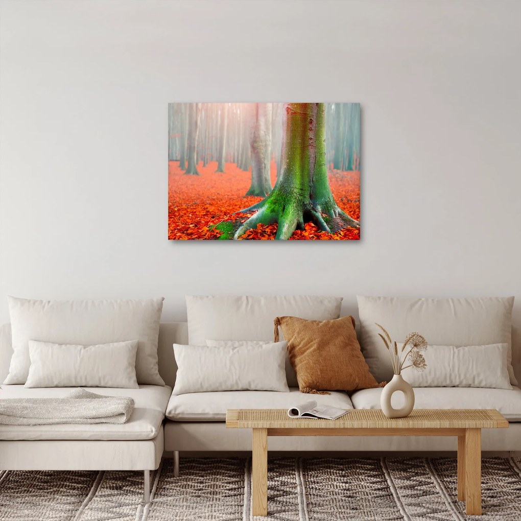 Obraz stromu (70x50 cm)