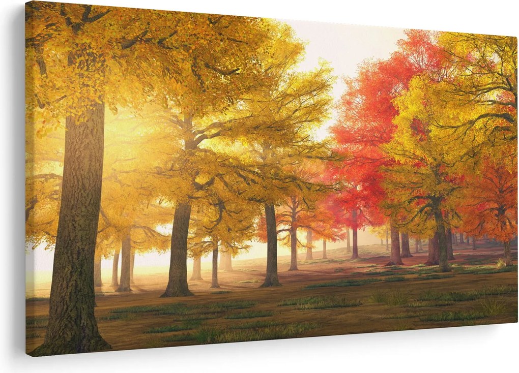 Obraz jesenných stromov (90x60 cm)