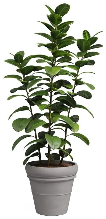 Kvetináč z terakoty ø 37 cm Mariza – Artevasi