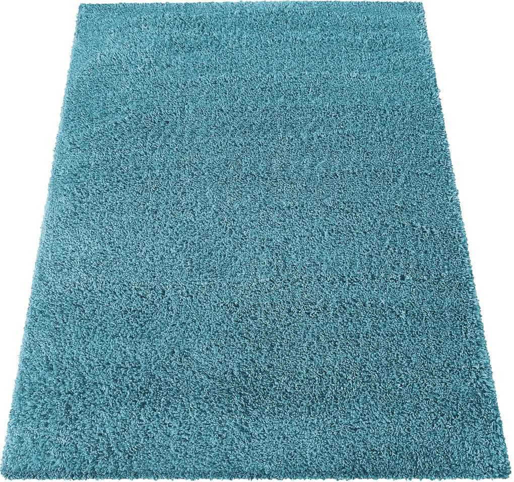 DY Modrý jednofarebný shaggy koberec Santo Rozmer: 120x170 cm
