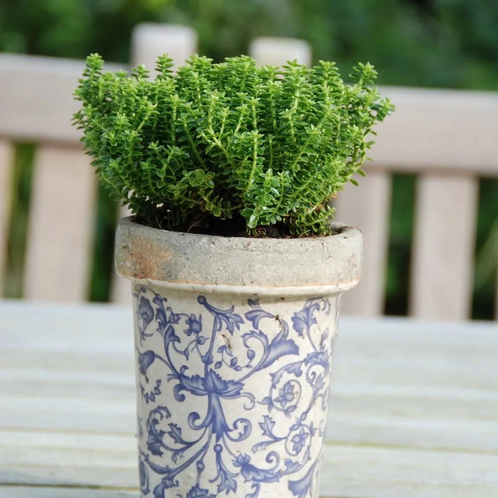 Keramický kvetináč ø 13 cm – Esschert Design