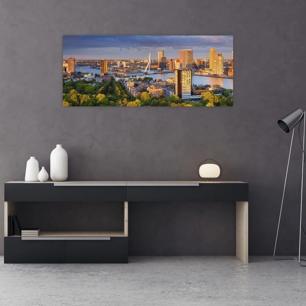 Obraz - Panorama Rotterdamu, Holandsko (120x50 cm)