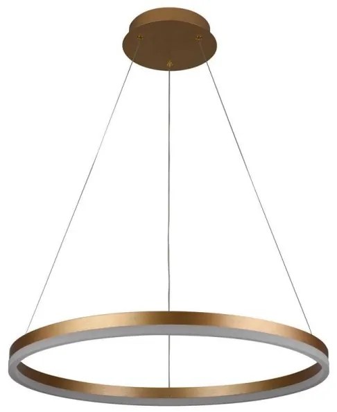Brilagi - LED Stmievateľný luster na lanku CIRCLE LED/42W/230V 3000-6500K + DO