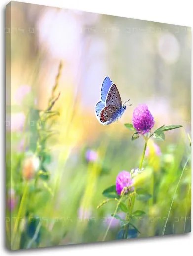 Obraz na stenu FAREBNÉ KVETY_161-12