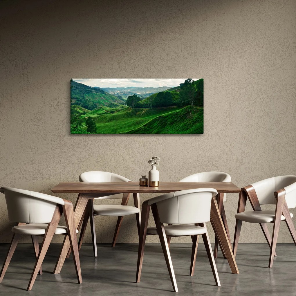 Obraz - Čajové plantáže v Malajzii (120x50 cm)
