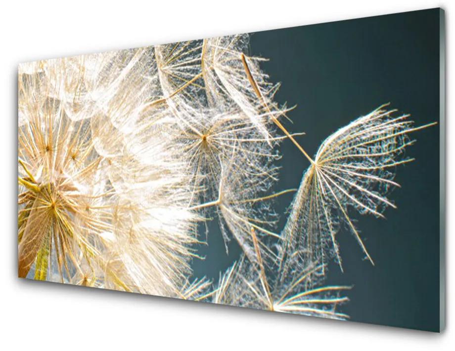Obraz plexi Púpava rastlina 140x70 cm