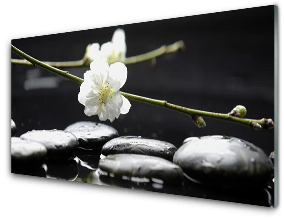Obraz na akrylátovom skle Kvet kamene umenie 100x50 cm