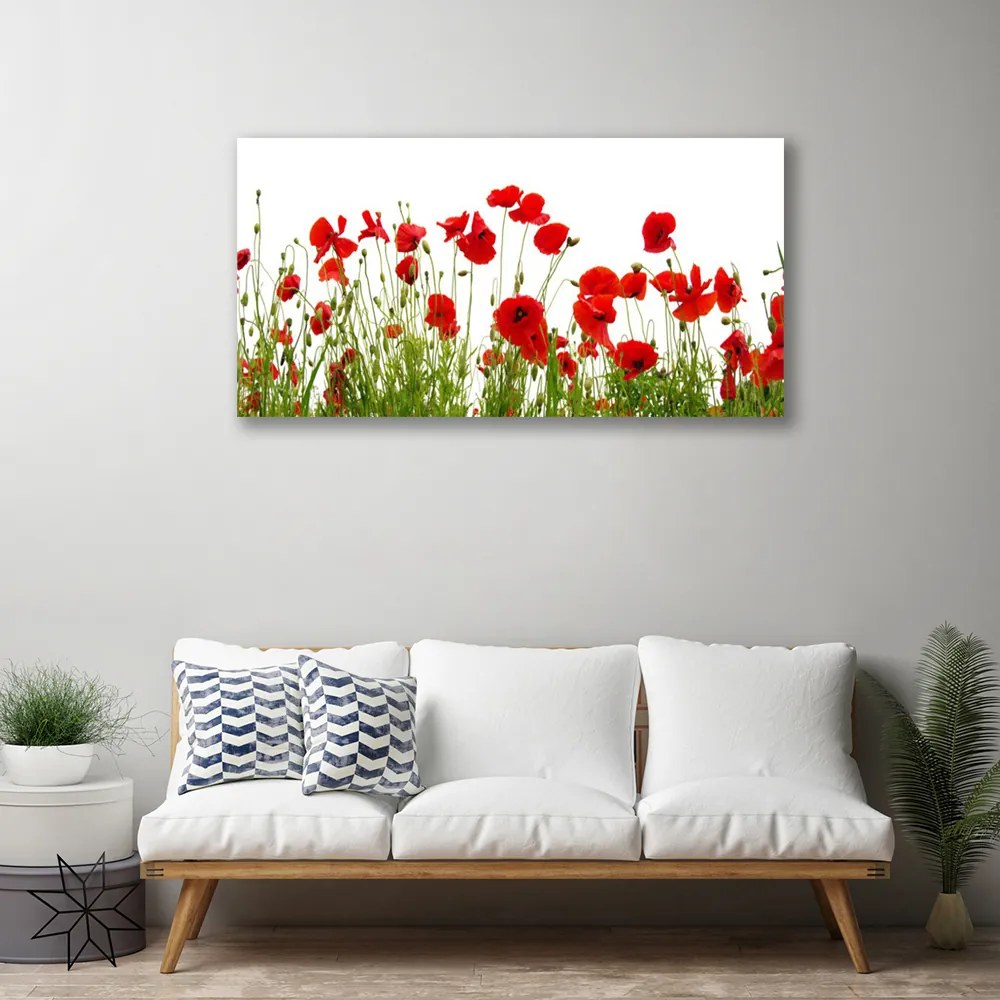 Obraz Canvas Maky kvety príroda 125x50 cm