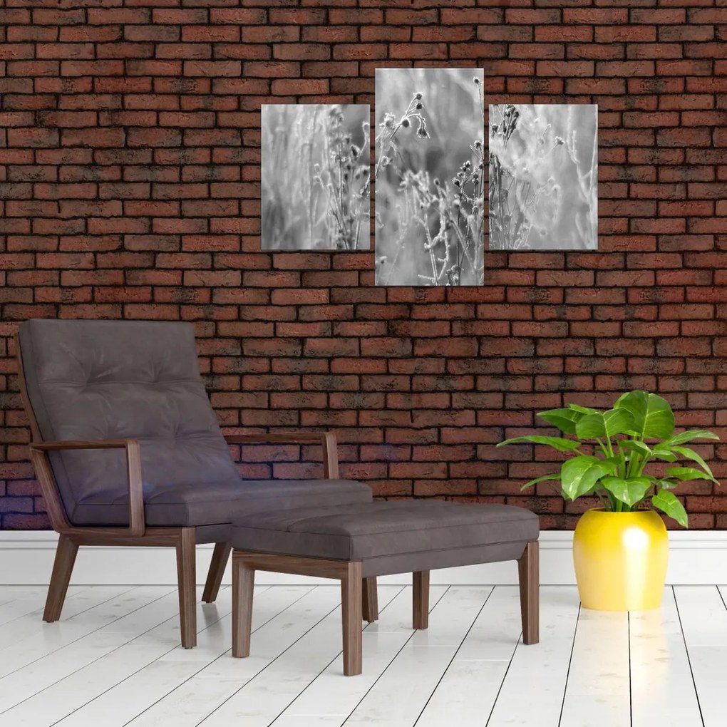 Obraz - Divoká lúka (90x60 cm)