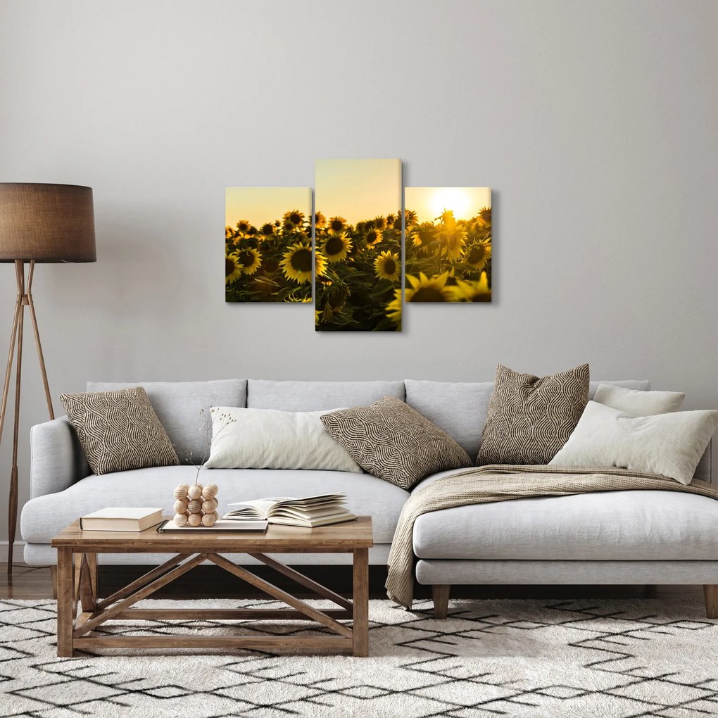 Obraz slnečnicového poľa (90x60 cm)
