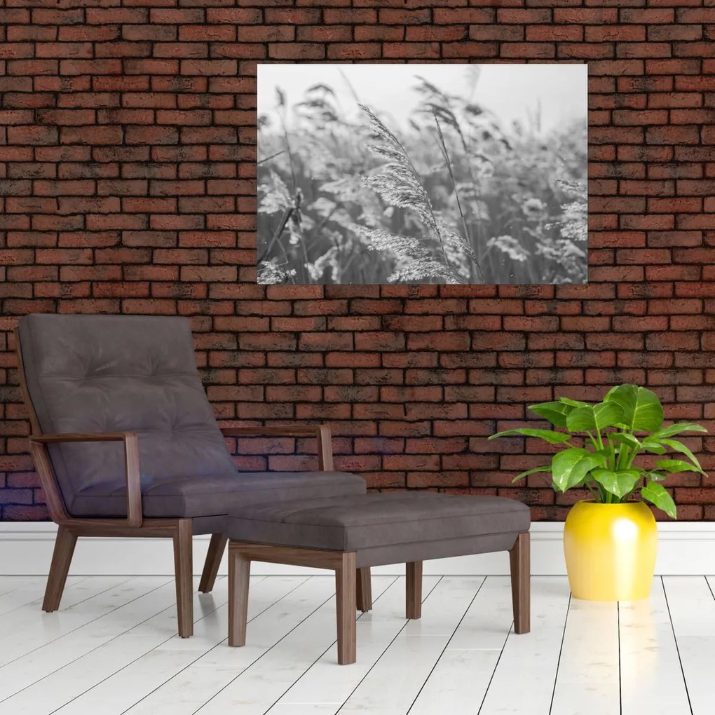 Obraz - Tráva vo vetre (90x60 cm)