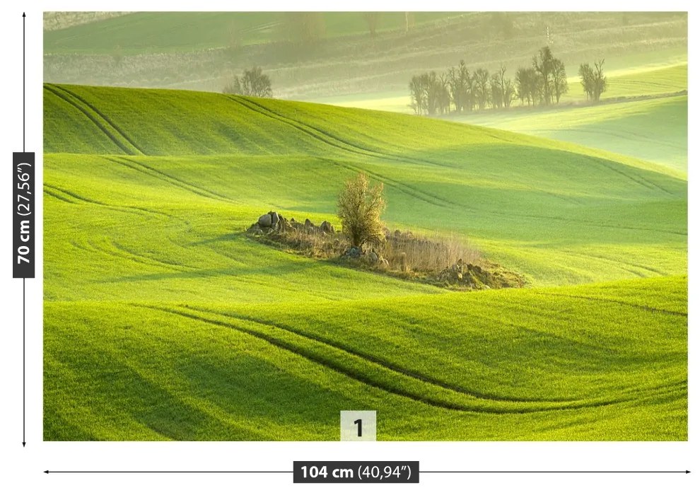 Fototapeta Vliesová Kukuričné pole 104x70 cm